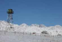 Больше пяти тысяч боеприпасов и оружия пытались провезти через границу Казахстана