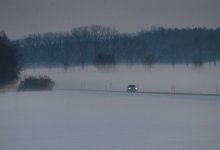 Подозреваемого в убийстве нашли повешенным в лесу в ВКО