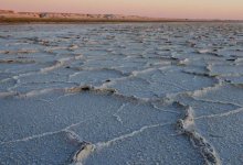 Казахстан возглавил Фонд спасения Арала