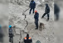 Автобус провалился в Майкаине: к поискам подключили кинологов из Астаны
