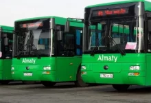 Номера некоторых автобусов изменили в Алматы