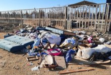 Домашних животных начали хоронить рядом с кладбищем в Актау