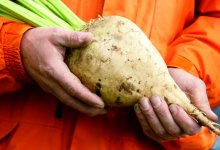 Бизнес на сиропе из сахарной свеклы построил житель Жетысуской области