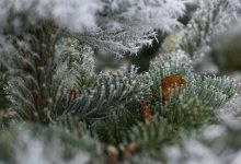 Какая погода ожидает казахстанцев 11 января