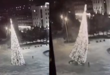 Ветер повалил главную елку в Семее (ВИДЕО)