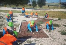 Выживаем на 80 тысяч: коммунальщики в Таразе требуют отставки руководства