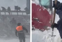 49 автомобилей оказались в снежном плену в Жетысу (ВИДЕО)