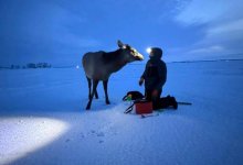 Необычная рыбалка попала на видео близ Астаны