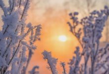 На большей части Казахстана ожидается погода без осадков