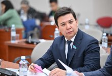 Падающие елки, тающие ледовые городки: депутат обвинил акиматы в неэффективных растратах