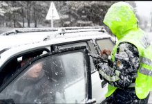 Водителя с 79 неоплаченными штрафами задержали в Семее