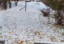 Неустойчивый характер погоды обещают в ряде регионов Казахстана