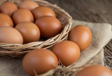 Дефицит яиц в Уральске: что говорят в акимате