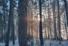 Погода без осадков ожидается в Казахстане