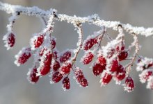 30-градусные морозы придут на запад Казахстана