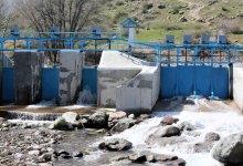 Зависимость от Кыргызстана, обмеление: как крестьяне Жамбылской области ежегодно теряют урожай