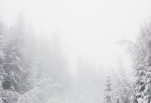 Дождь, снег, туман прогнозируют в Казахстане