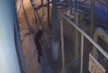 Мужчина нагадил под окнами многоэтажки в Кызылорде (ВИДЕО)