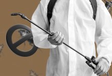 Новые правила дезинсекции в РК: как избавиться от тараканов и не сесть за решетку