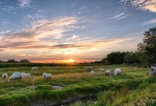 Земли на 180 млн тенге вернули государству в Алматинской области