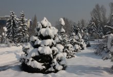 Сильные снегопады обрушатся на юг Казахстана