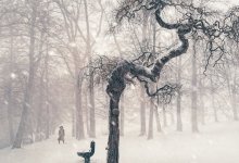 Метели и порывистый ветер прогнозируют на большей части Казахстана