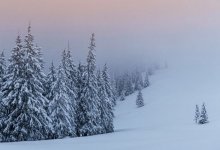 Туман и усиление ветра ожидаются 1 февраля в Казахстане