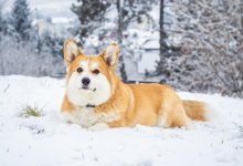 Какая погода ожидает казахстанцев в эти выходные