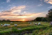 Земли на 231 млн тенге вернули государству в ЗКО