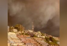 Десятки человек погибли в Чили из-за лесных пожаров