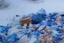 Пакеты с куриными костями и отходами выкинули на пустыре в Астане (ВИДЕО)