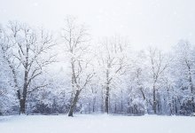 Буря наступает на север Казахстана