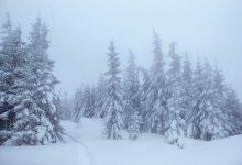 Осадки и сильный ветер принесет в Казахстан циклон из России