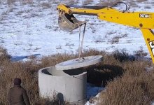 В Актау отель Rixos оштрафовали после гибели лебедей