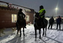Вышел навстречу огням: как искали мальчика в Абайской области