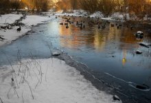 Улицы частично подтопило в Атырау (ВИДЕО)