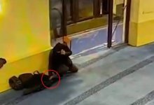 Мужчина обворовывал прихожан в мечетях Алматы (ВИДЕО)