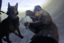 Пенсионерка едва не погибла на кладбище в Актюбинской области