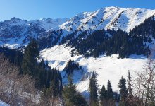 Блокпосты выставили в горах Алматы