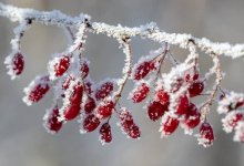 До 38 градусов мороза ожидается в Казахстане