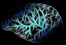 Врачи из Франции впервые в истории вылечили смертельную форму рака мозга