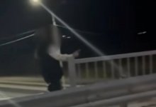 Подросток пыталась спрыгнуть с моста из-за отобранного телефона
