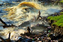 Названы регионы Казахстана с высоким риском паводков