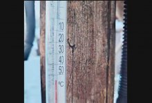 Температурный рекорд зафиксировали в резервате "Семей орманы"