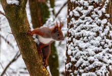 Какая погода ждет казахстанцев в выходные