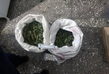 Марихуану на 10 млн тенге хранил в канистрах житель Тараза