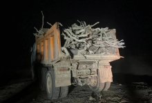 Саксаулом топил печь житель Жамбылской области (ВИДЕО)