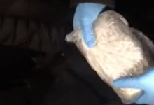 Иностранца задержали с "кирпичом" на 3 млн тенге в Акмолинской области