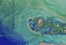 Экономить воду призывают экологи для спасения Каспия