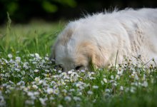 Когда в Казахстан придет настоящая весна